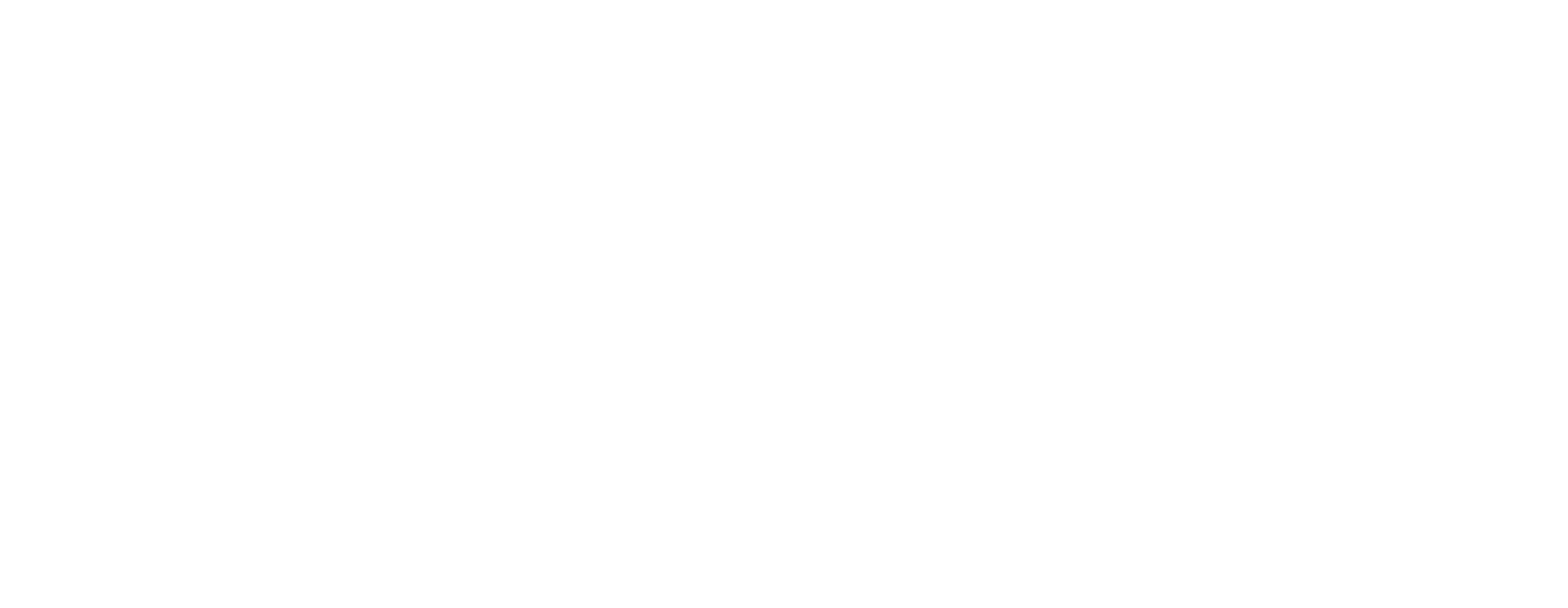 zeewant logo